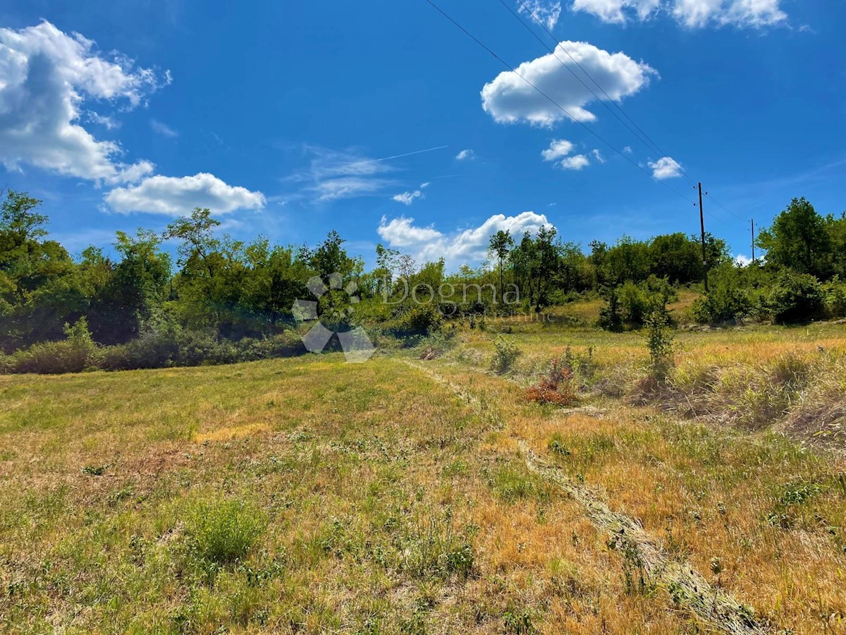 Land For sale - ISTARSKA  Pićan