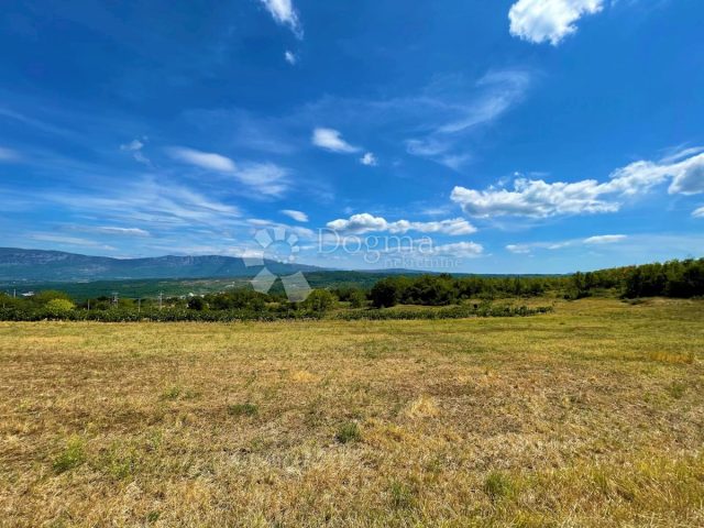 Zemljište na prodaju 11584 m² – Pićan