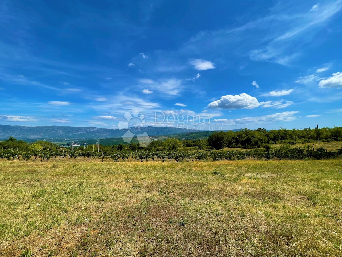 Land For sale - ISTARSKA  PIĆAN 