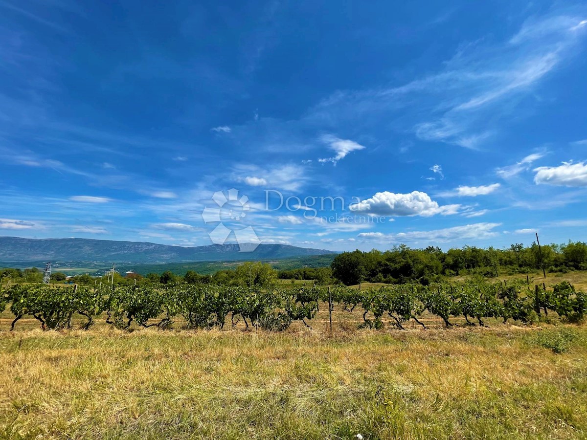 Land For sale - ISTARSKA  PIĆAN 