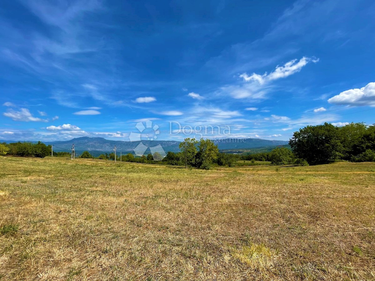 Land For sale - ISTARSKA  PIĆAN 