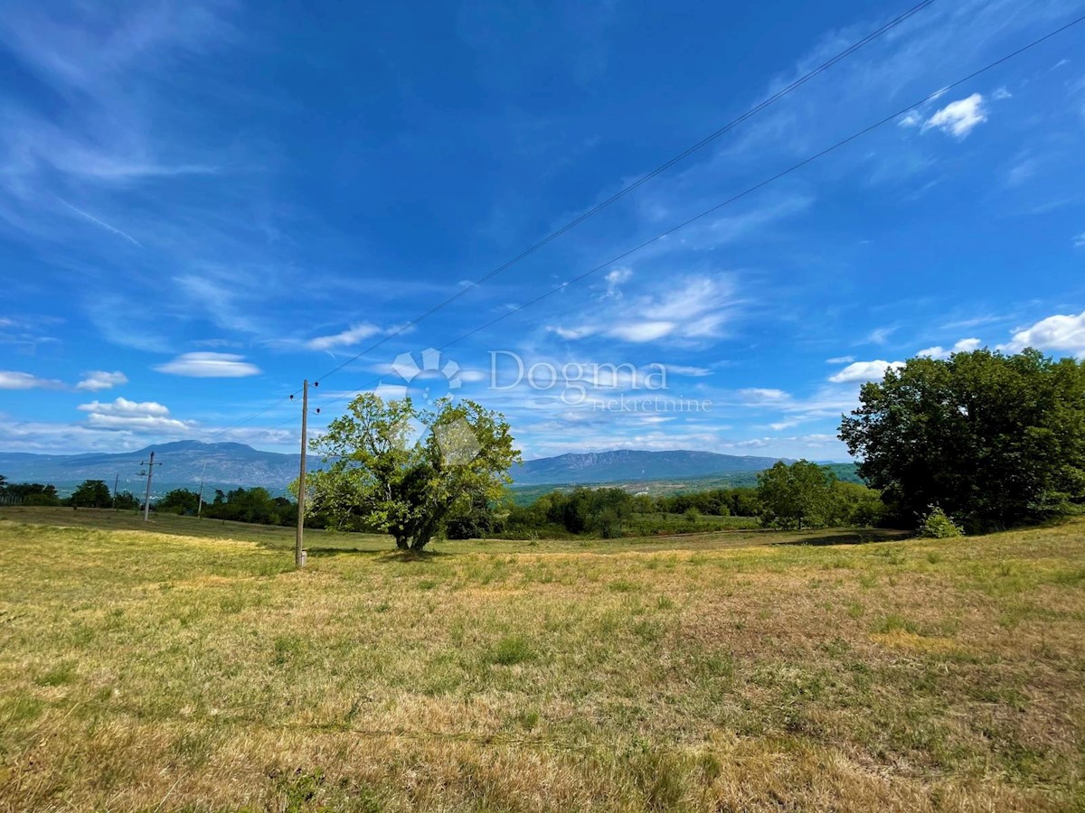 Land For sale - ISTARSKA  PIĆAN 