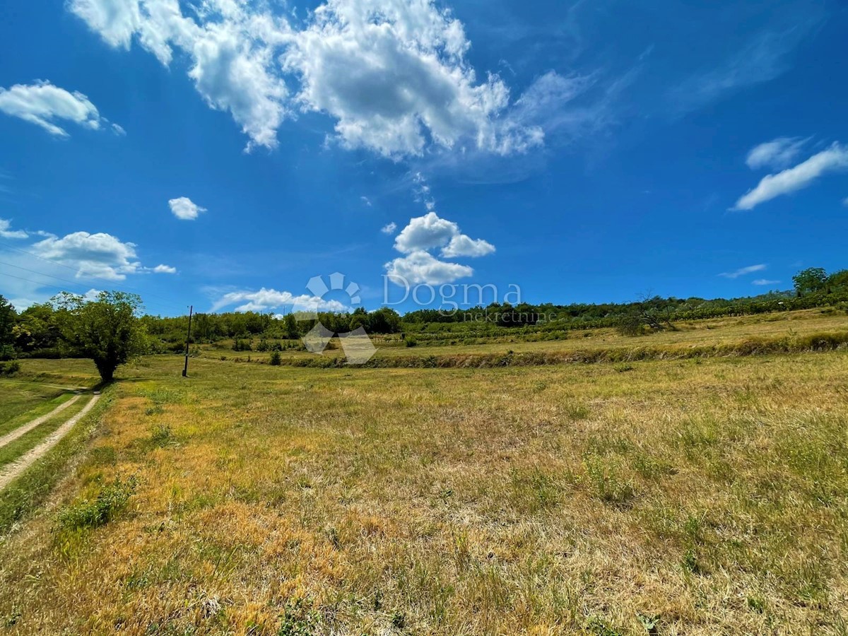 Land For sale - ISTARSKA  PIĆAN 