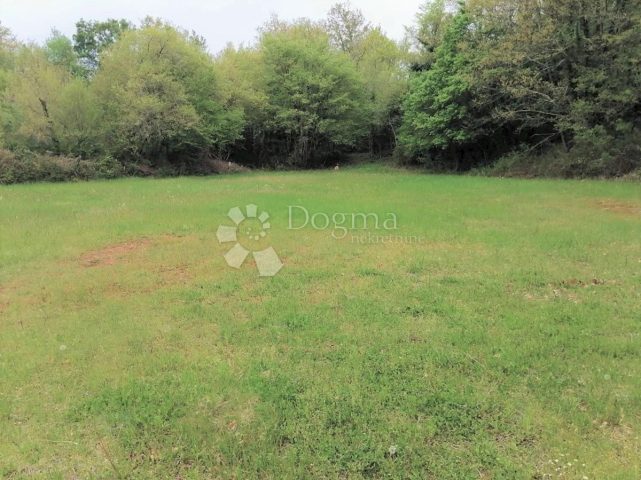 Pozemok na predaj 5838 m² – Manjadvorci