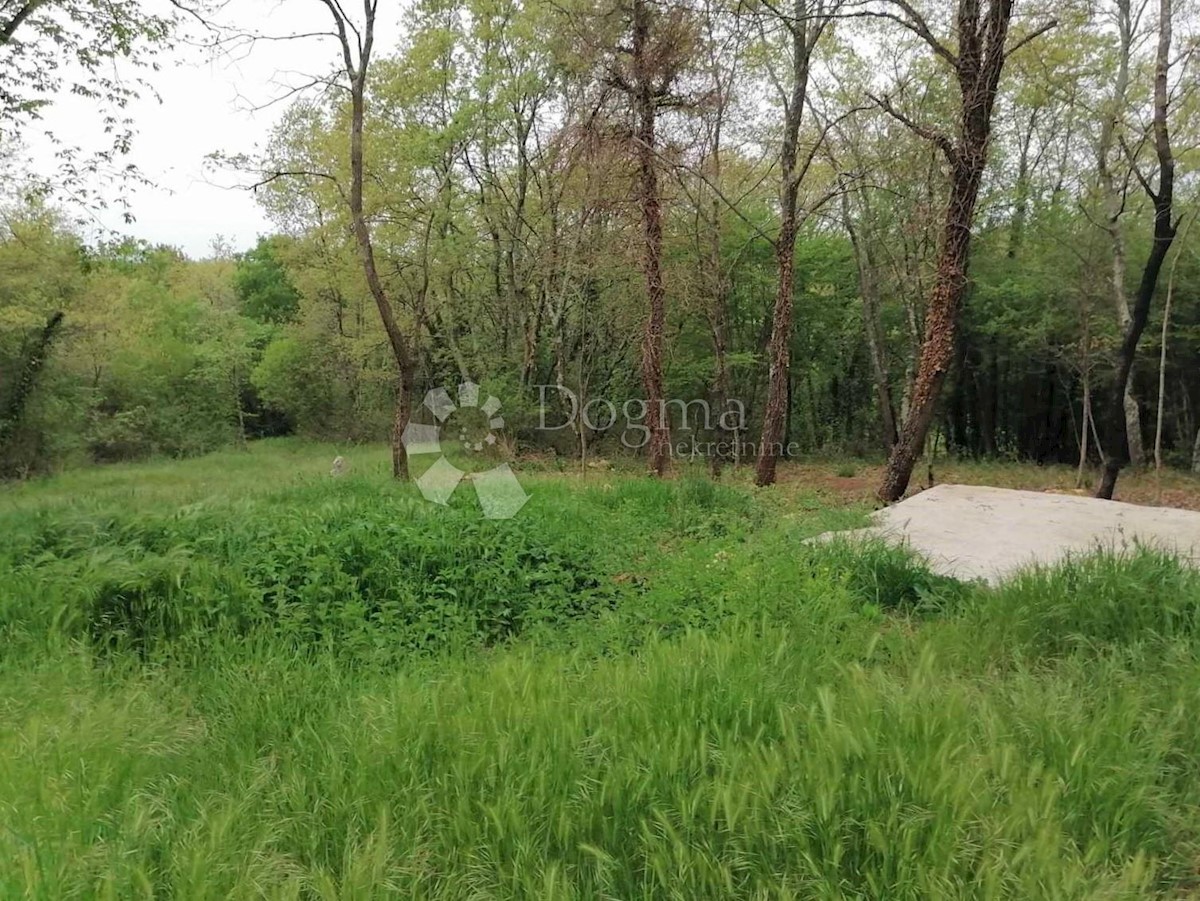 Land For sale - ISTARSKA  Barban