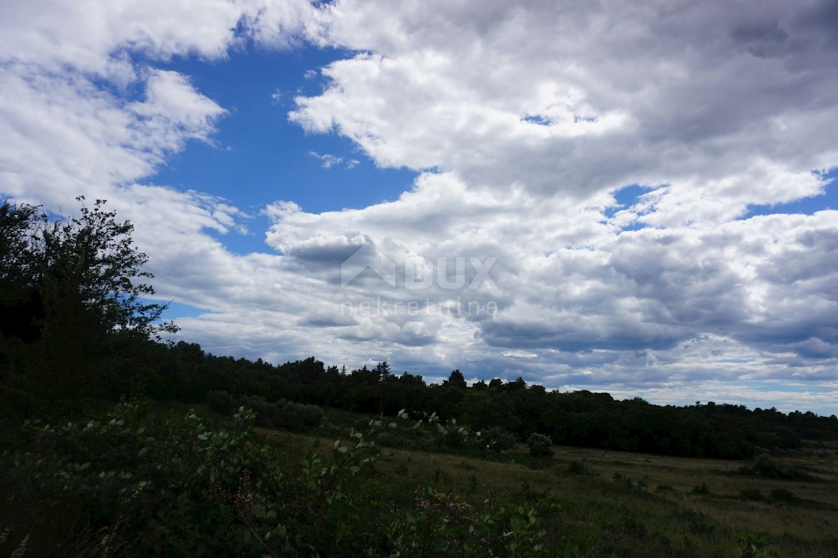 Terreno In vendita - ISTARSKA  POREČ 