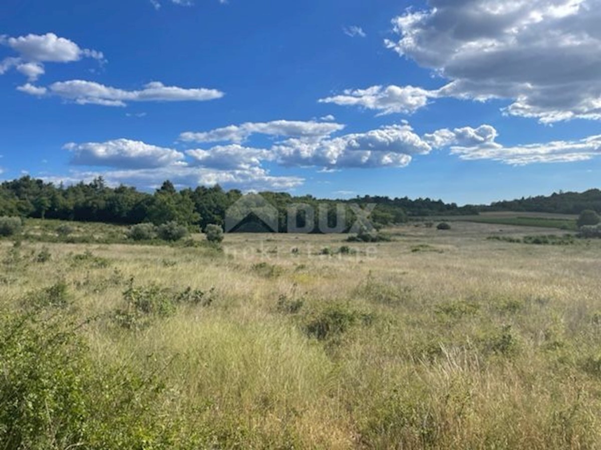 Land For sale - ISTARSKA  POREČ 