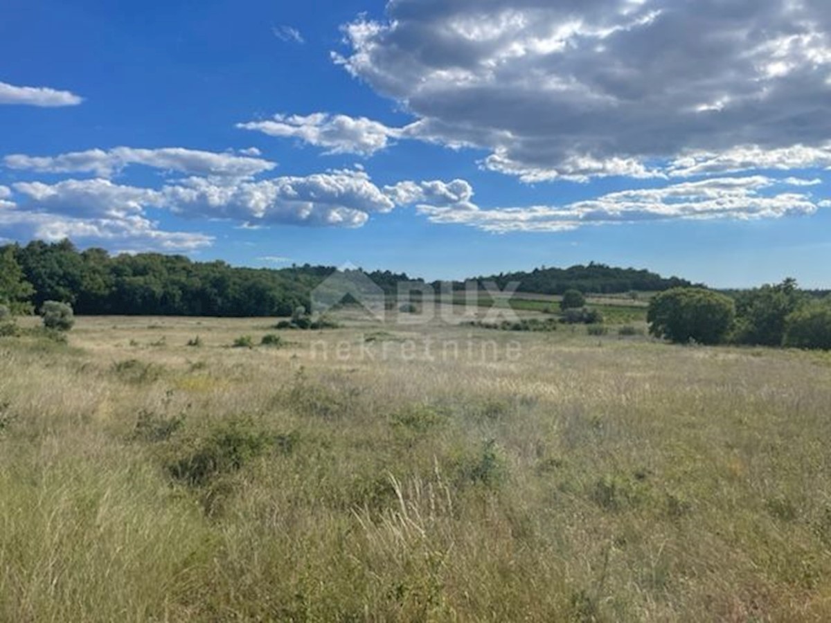 Terreno In vendita - ISTARSKA  POREČ 