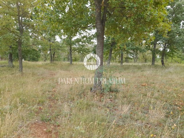Grundstück zu verkaufen 877 m² – Poreč