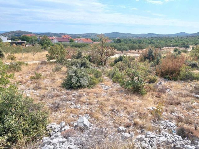 Land For sale POLAČA