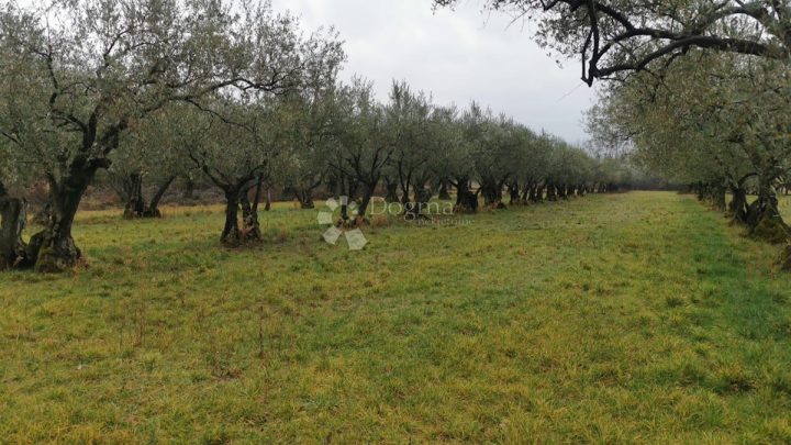 Działka na sprzedaż 701 m² – Babići