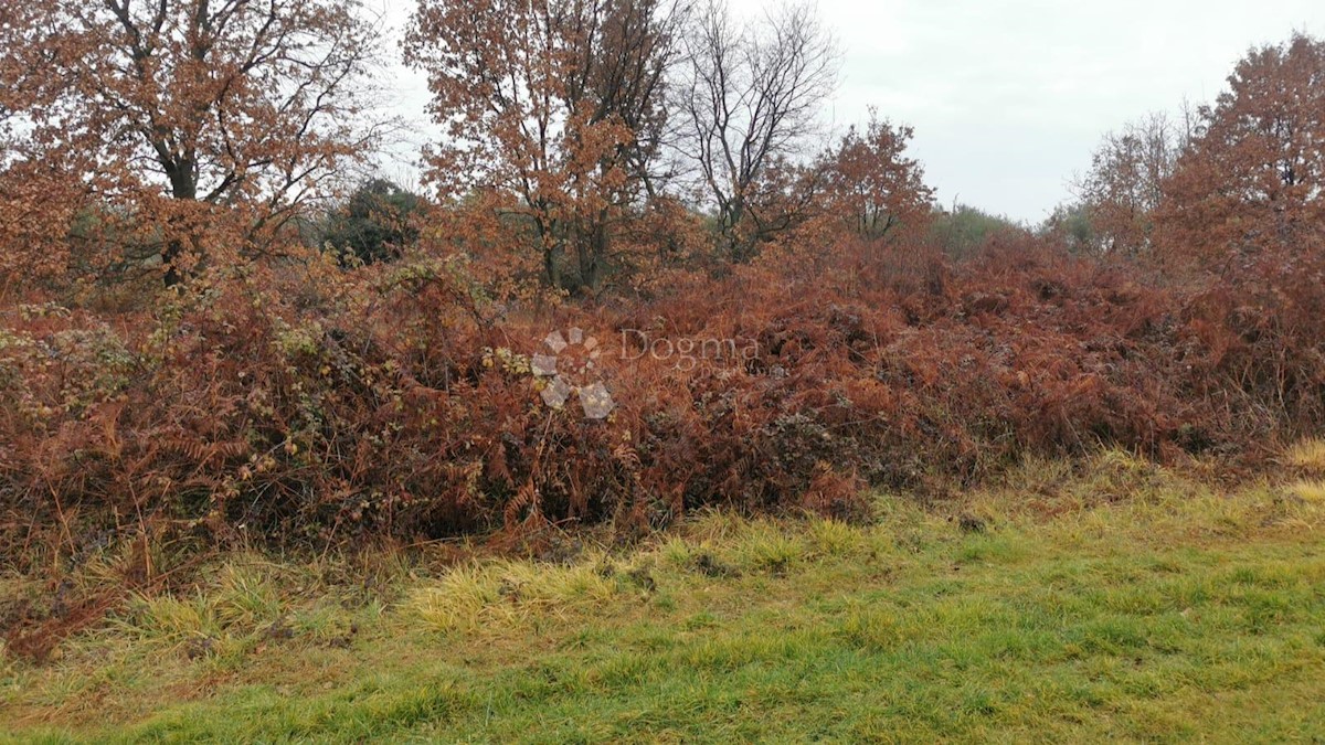 Terreno In vendita - ISTARSKA  UMAG 