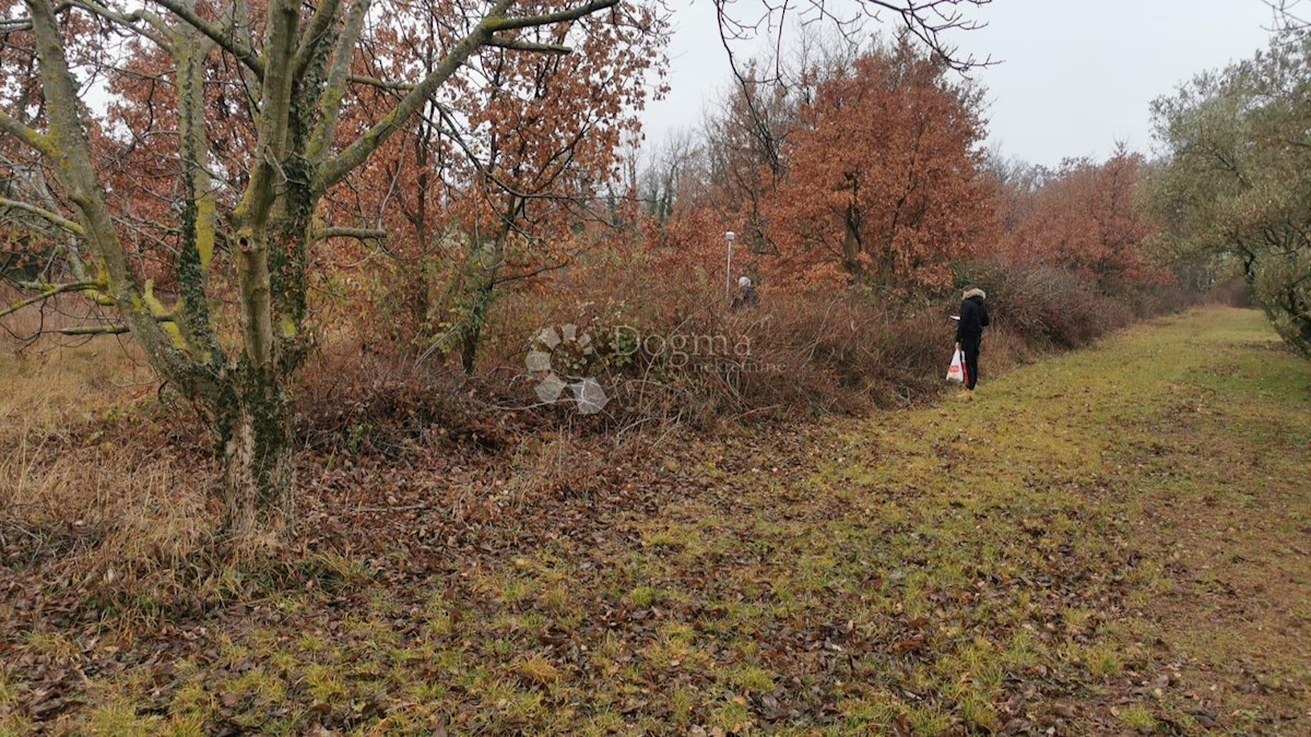 Terreno In vendita - ISTARSKA  UMAG 