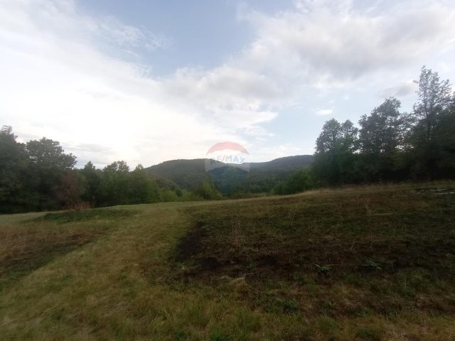 Parcela na predaj 5947 m² – Gomirje