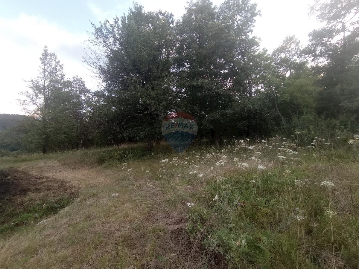 Land For sale - PRIMORSKO-GORANSKA  VRBOVSKO 