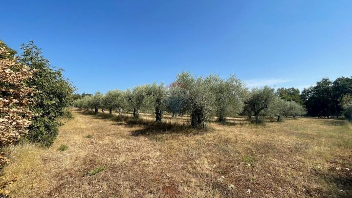 Parcela na predaj 3397 m² – Poreč