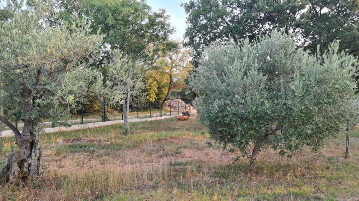 Pozemek Na prodej - Istarska Poreč - foto 3/14