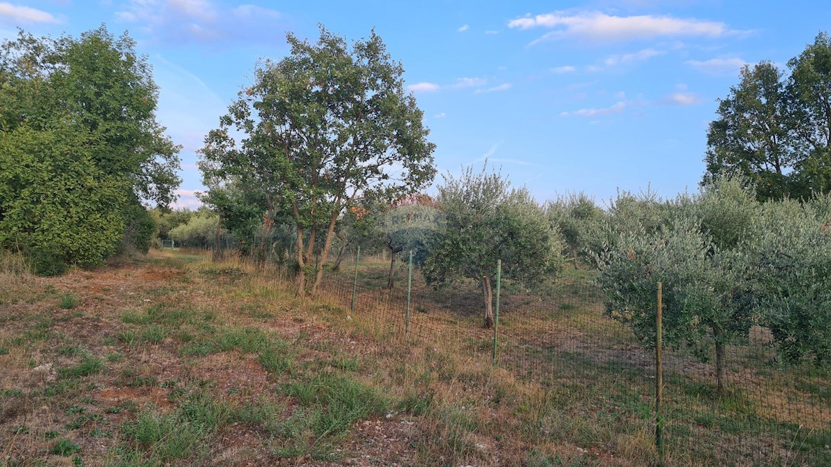 Land For sale - ISTARSKA  POREČ 