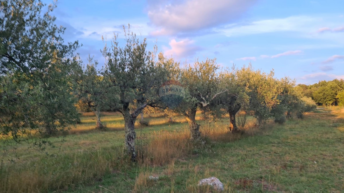 Grundstück Zu verkaufen - ISTARSKA  POREČ 