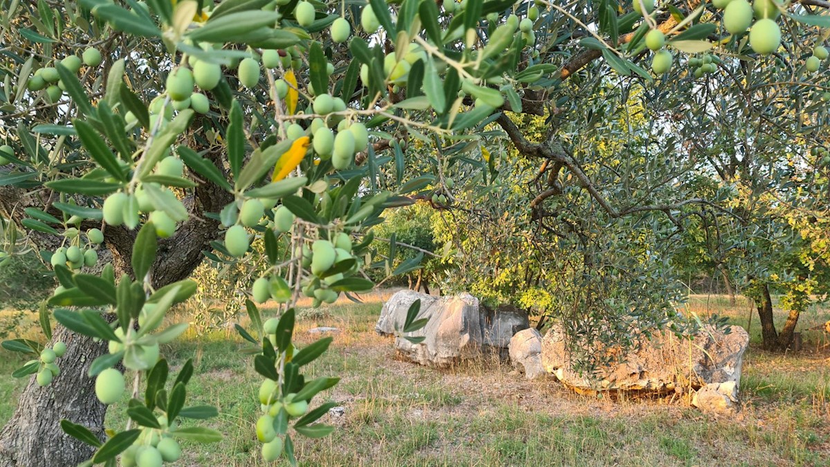 Terreno In vendita - ISTARSKA  POREČ 