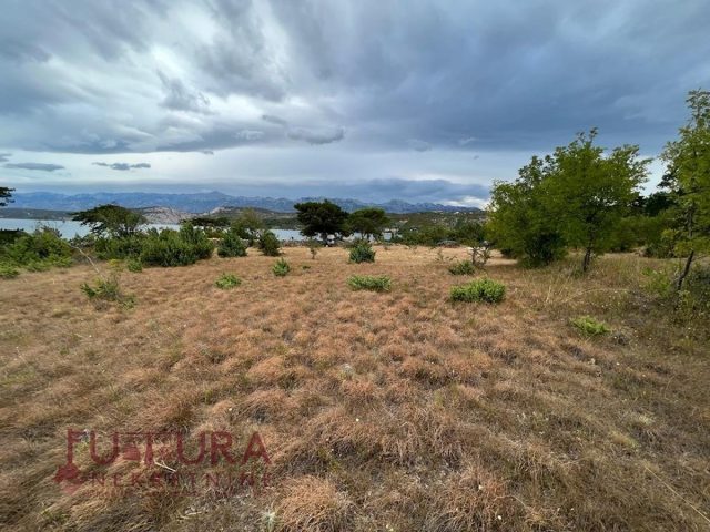 Pozemek na prodej 1281 m² – Kruševo