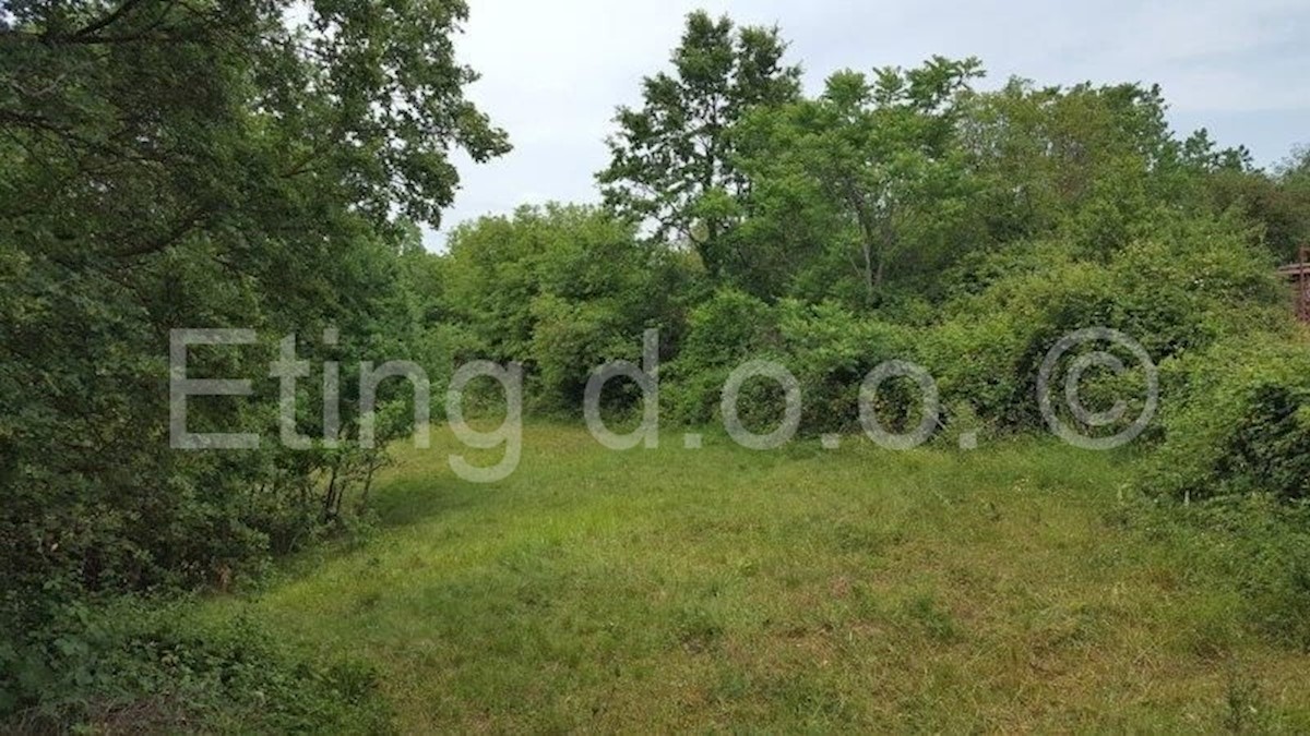 Land For sale - ISTARSKA  ŽMINJ 