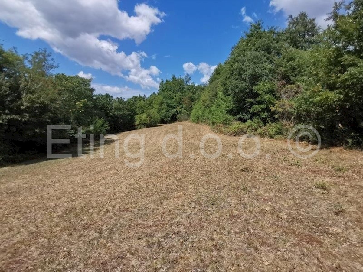 Land For sale - ISTARSKA  ŽMINJ 