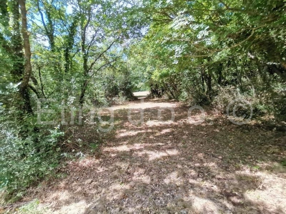 Land For sale - ISTARSKA  ŽMINJ 