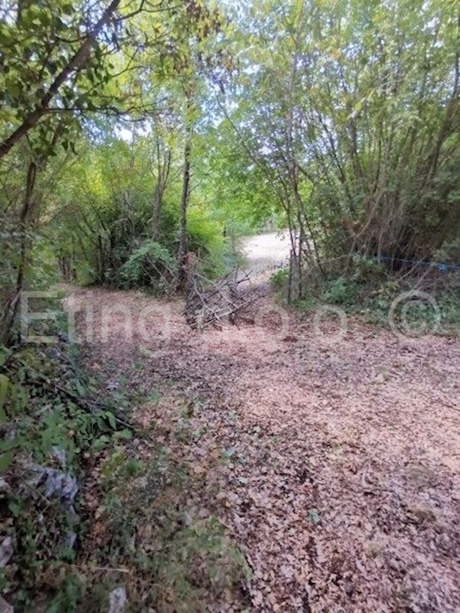 Land For sale - ISTARSKA  ŽMINJ 