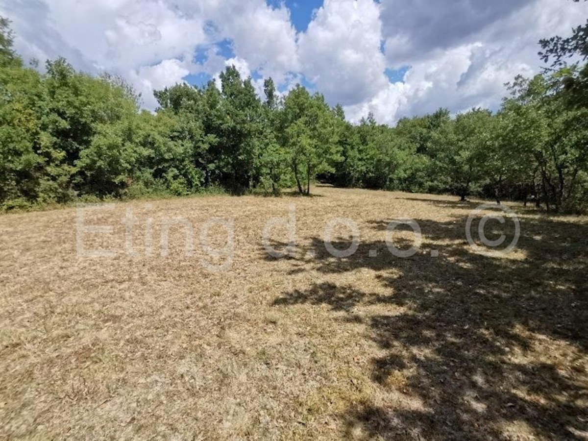 Land For sale - ISTARSKA  ŽMINJ 