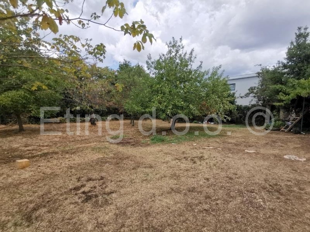 Land For sale - ISTARSKA  ŽMINJ 