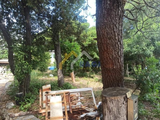 Land For sale - Zadarska Zadar - foto 5/7