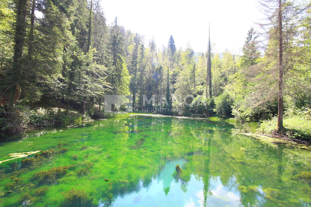 Dom Na predaj - PRIMORSKO-GORANSKA  BROD MORAVICE 