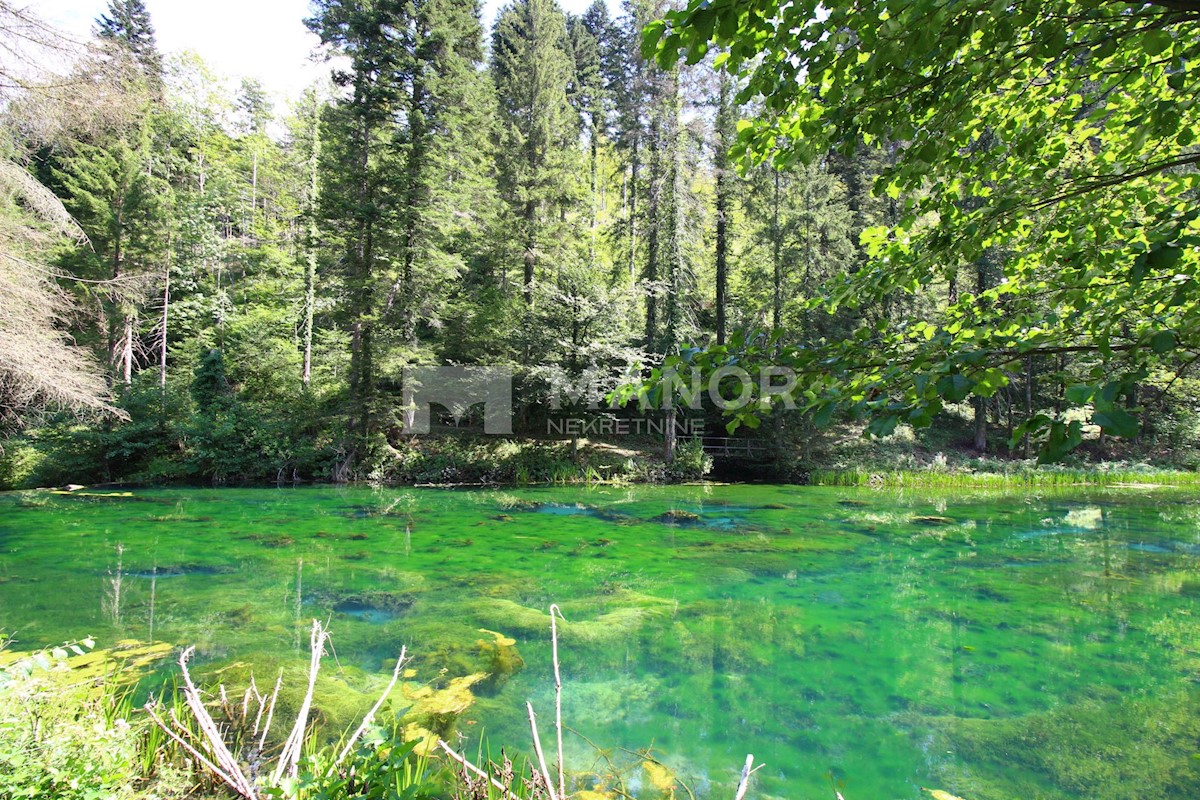 Dom Na predaj - PRIMORSKO-GORANSKA  BROD MORAVICE 