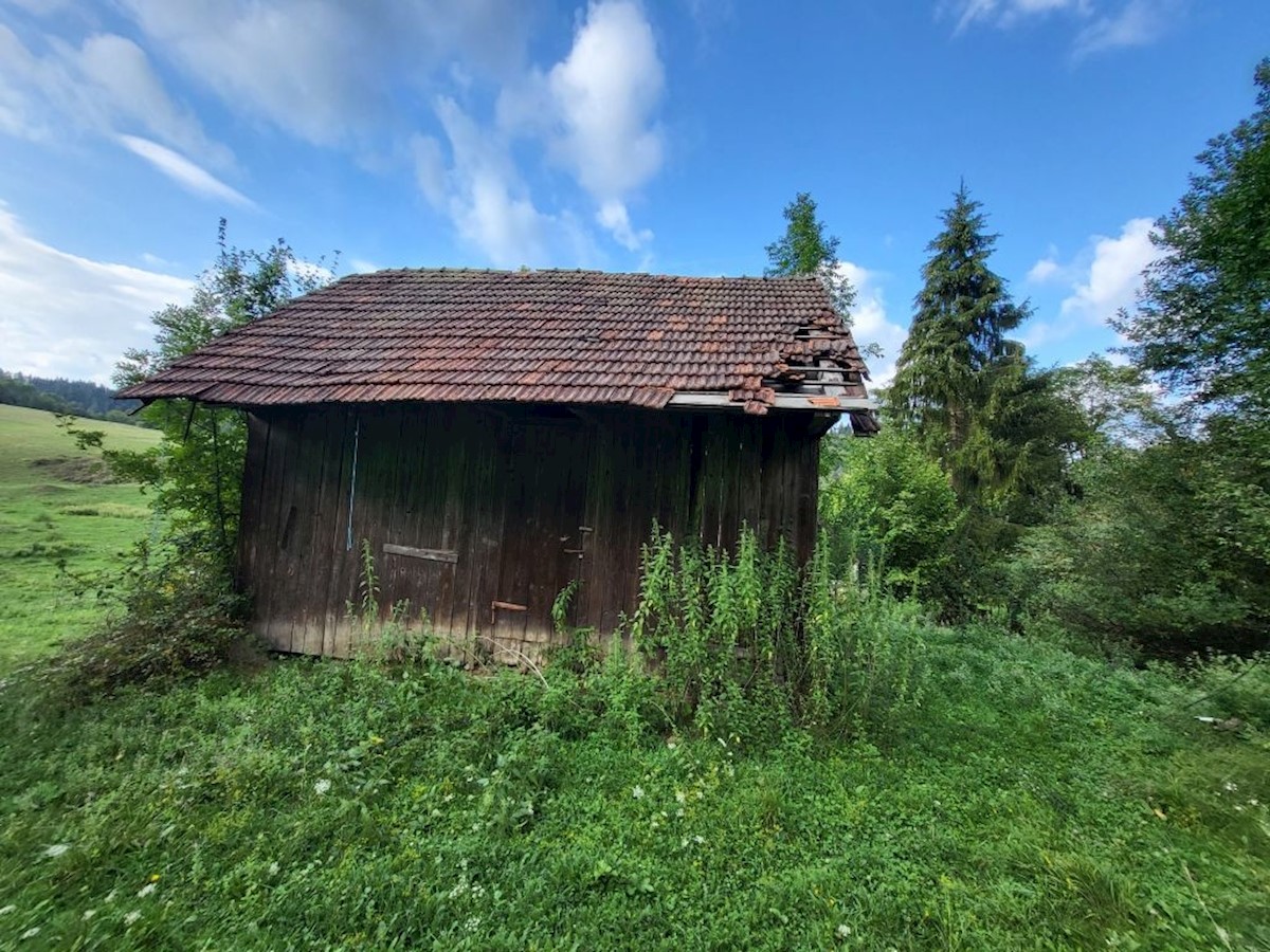 House For sale - PRIMORSKO-GORANSKA  Vrbovsko