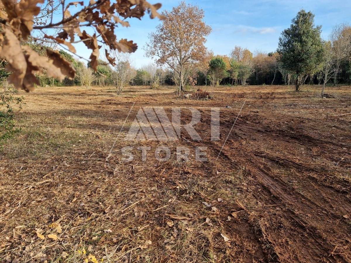 Land For sale - ISTARSKA  ROVINJ 