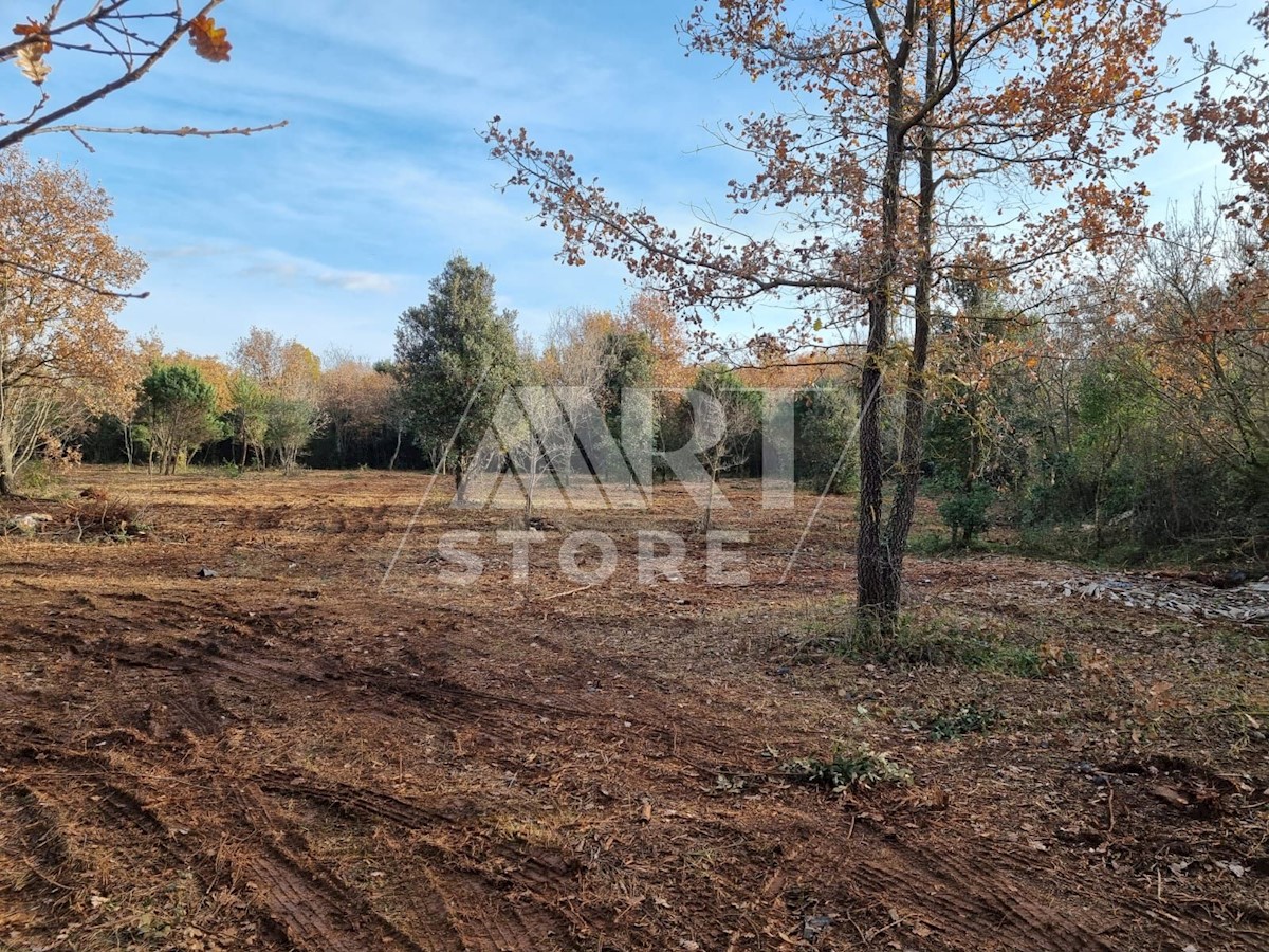 Land For sale - ISTARSKA  ROVINJ 