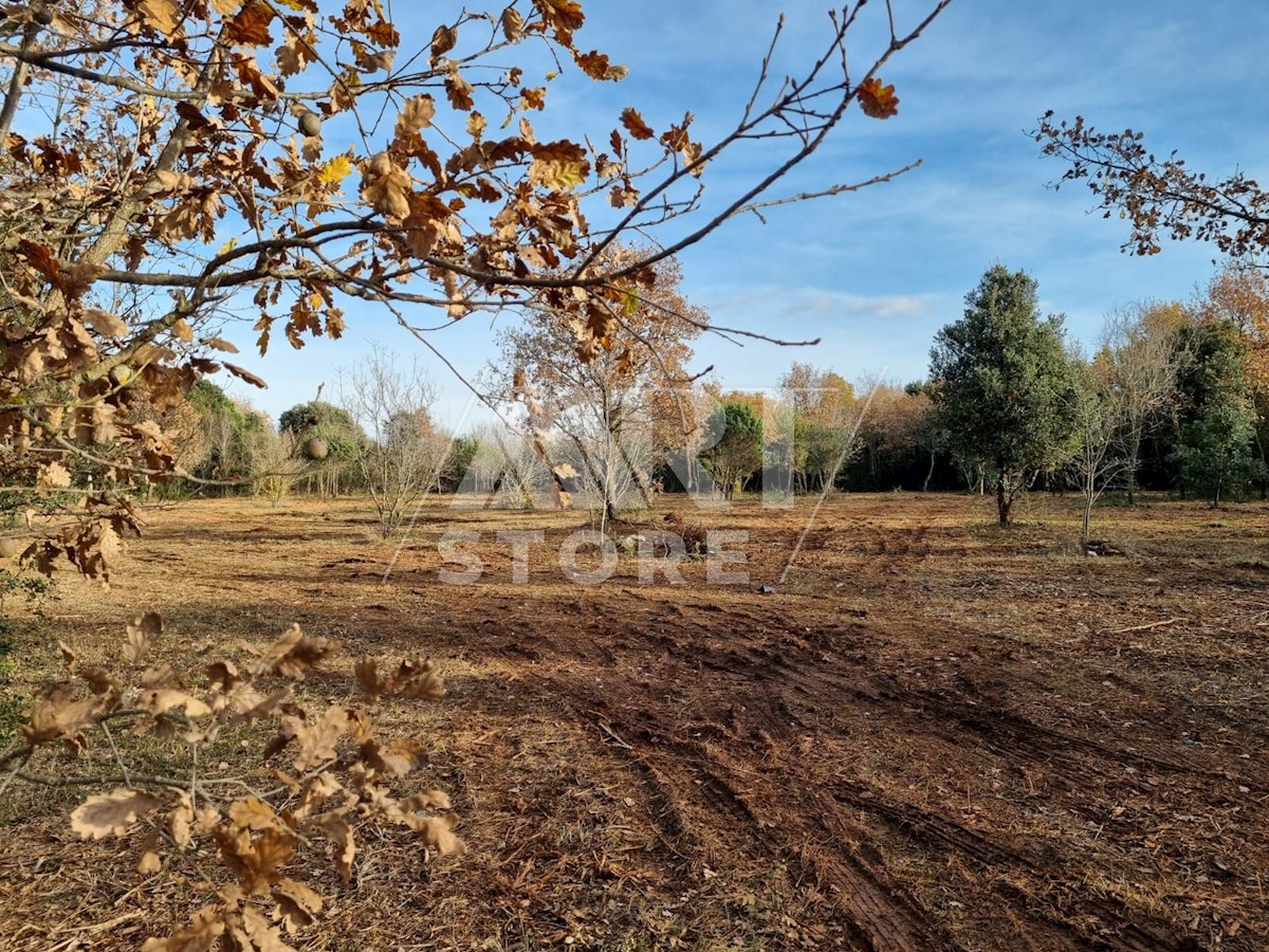 Land For sale - ISTARSKA  ROVINJ 