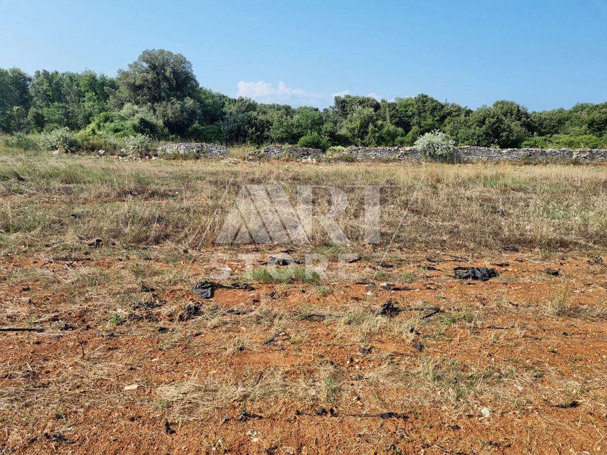 Land For sale - ISTARSKA  ROVINJ 