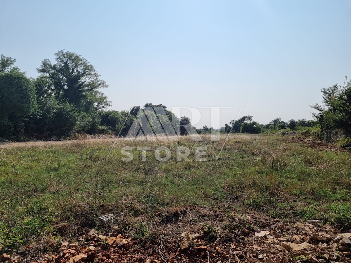 Land For sale - ISTARSKA  ROVINJ 