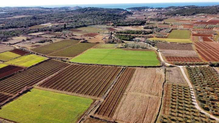 Land for sale 4400 m² – Rovinj