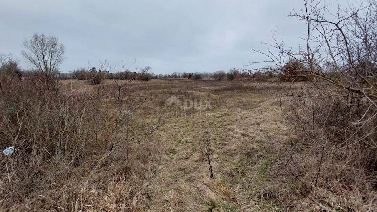 Terreno In vendita - ISTARSKA  ŽMINJ 