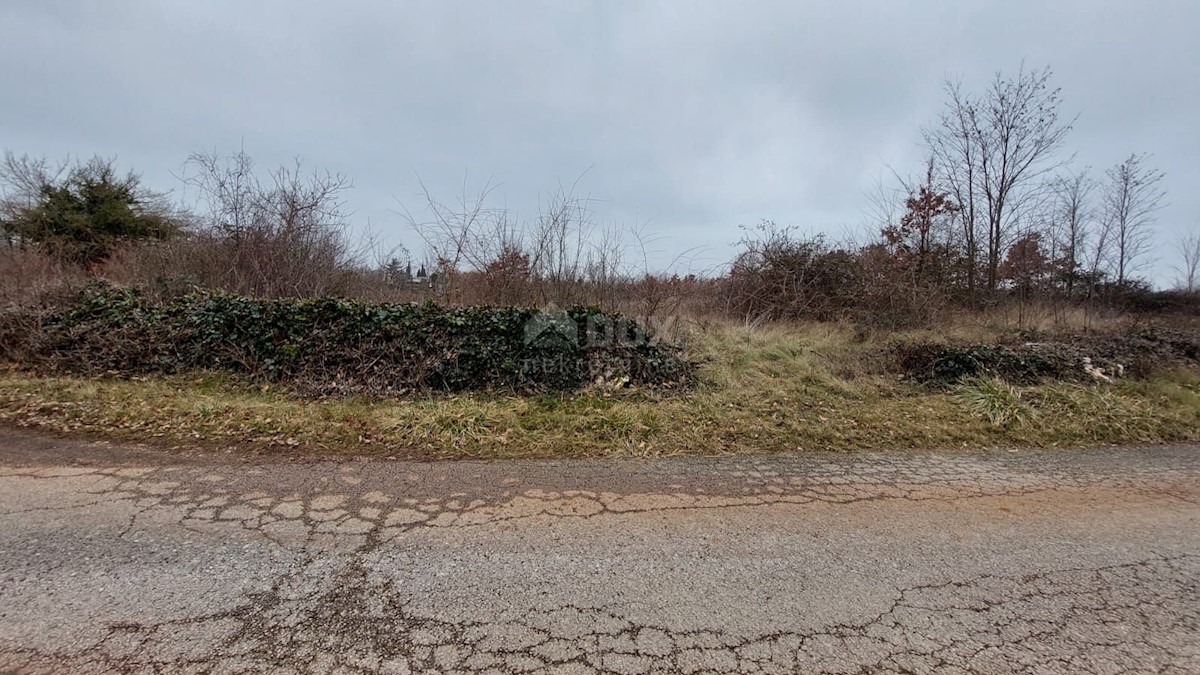 Terreno In vendita - ISTARSKA  ŽMINJ 