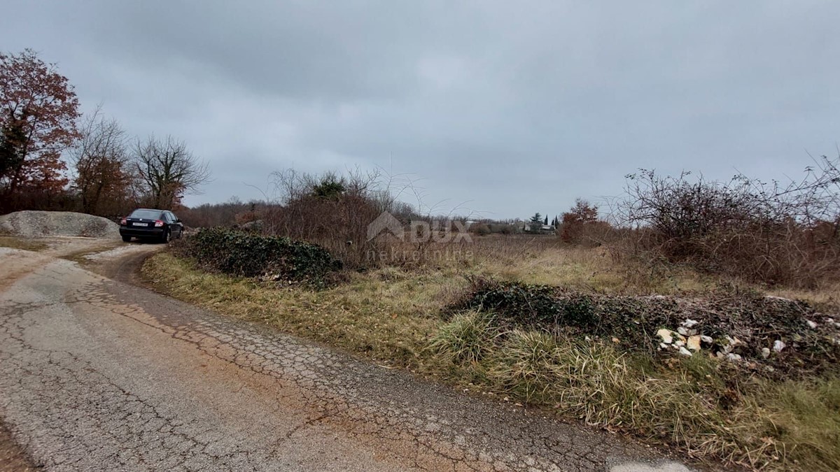 Terreno In vendita - ISTARSKA  ŽMINJ 