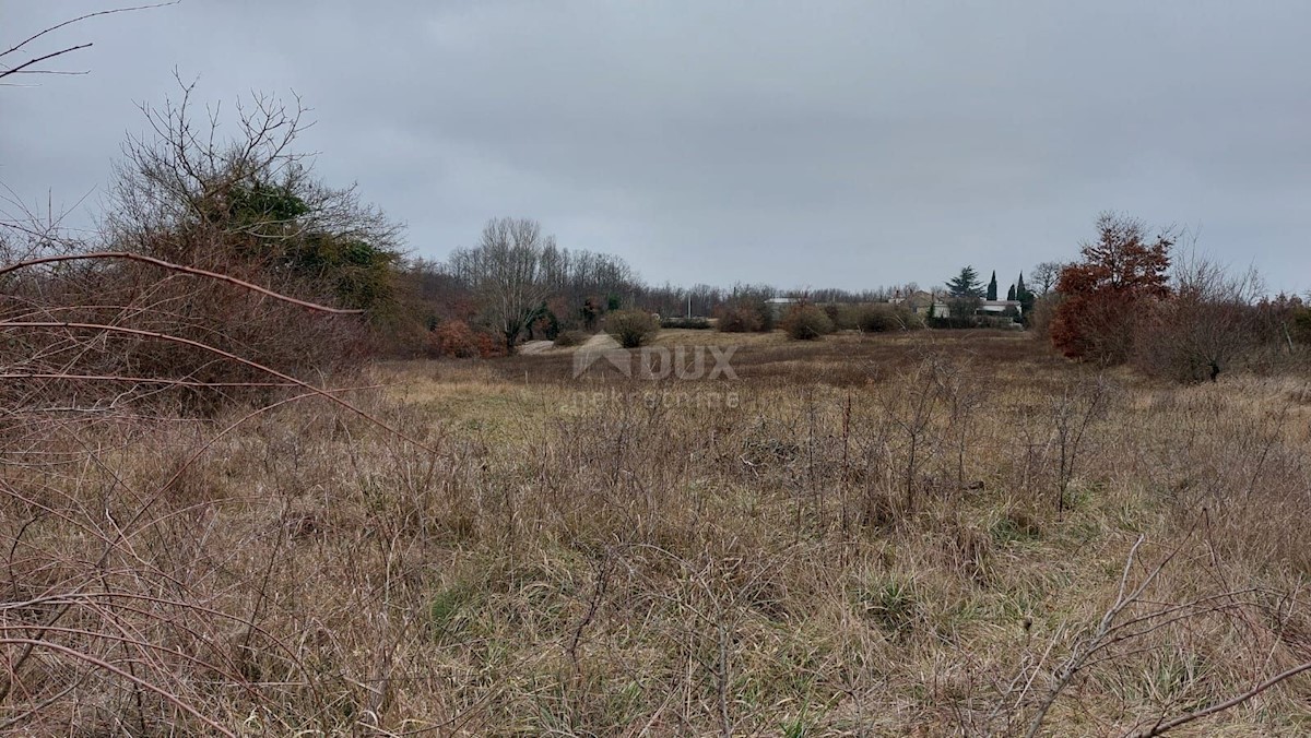 Terreno In vendita - ISTARSKA  ŽMINJ 