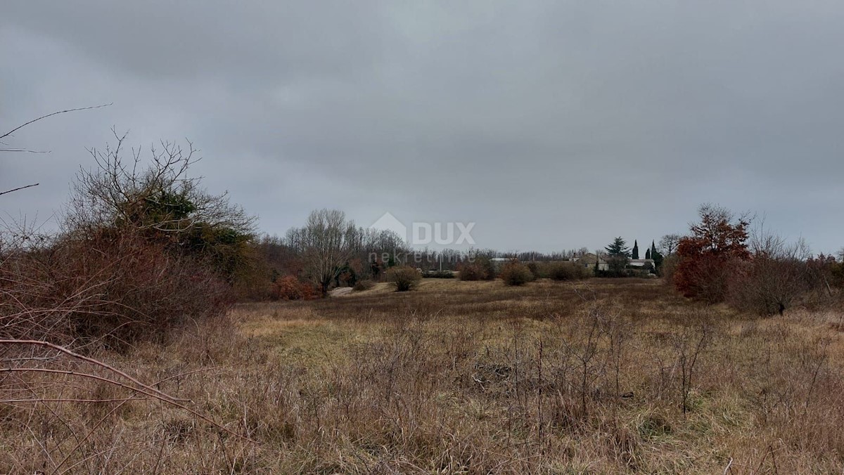 Terrain À vendre - ISTARSKA  Žminj