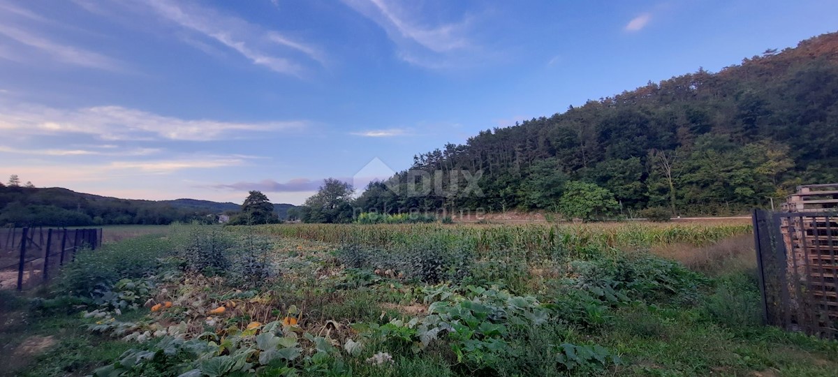 Pozemek Na prodej - ISTARSKA  PAZIN 