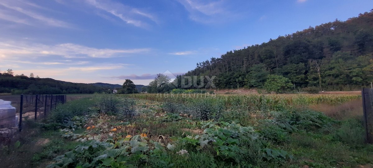 Terreno In vendita - ISTARSKA  PAZIN 