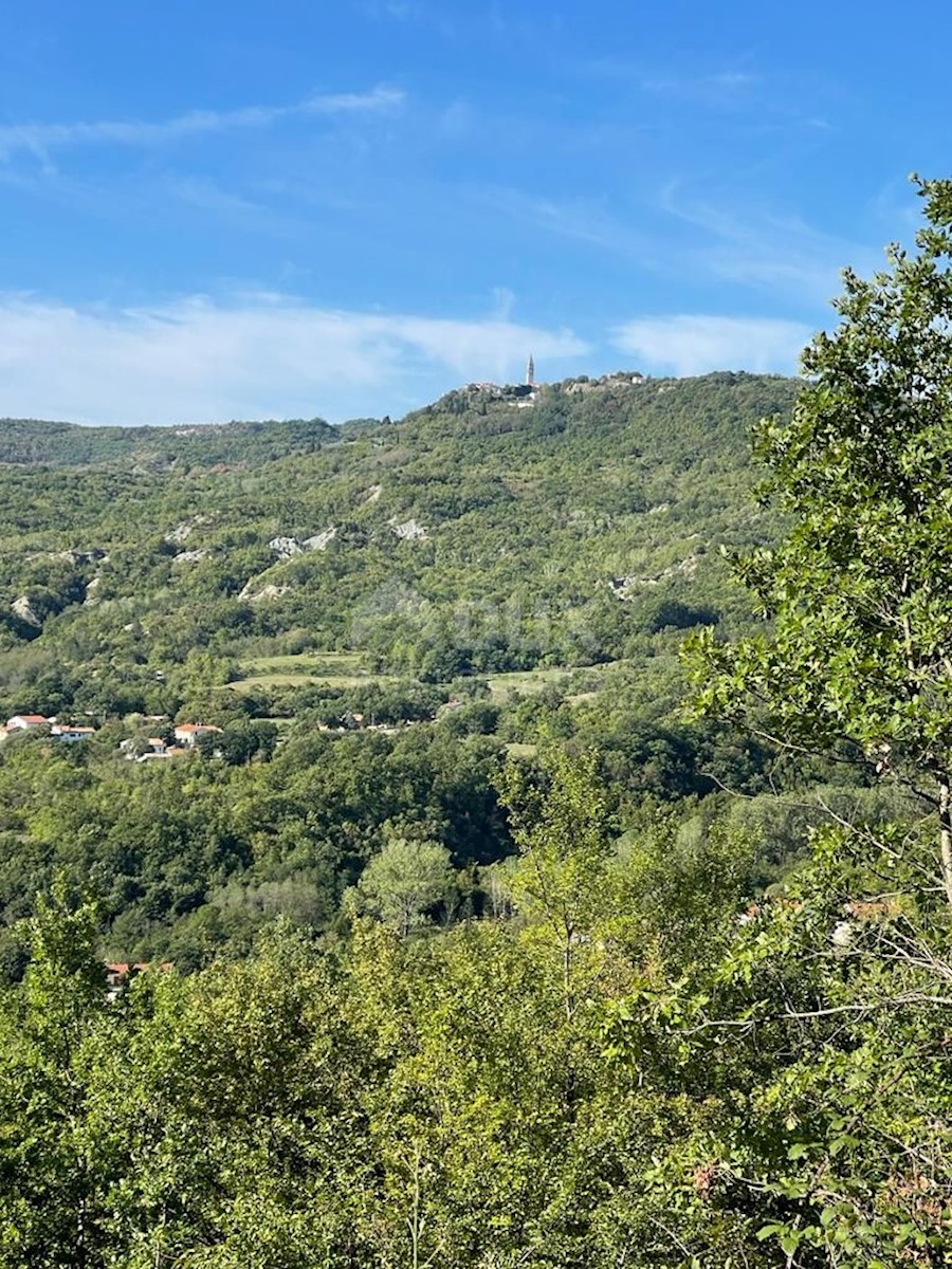 Kuća Na prodaju - ISTARSKA  PIĆAN 