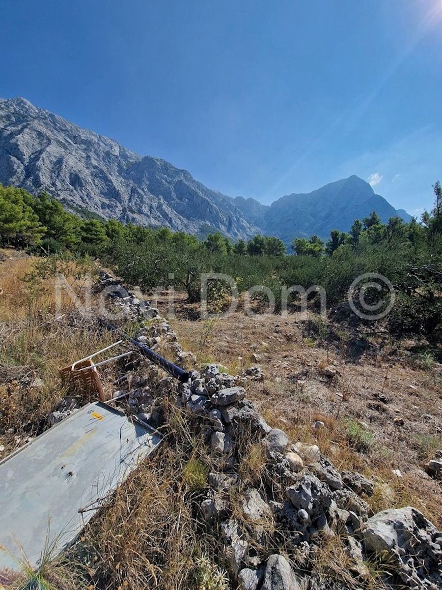 Land For sale - SPLITSKO-DALMATINSKA  BAŠKA VODA 